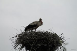 IMG_3360.JPG