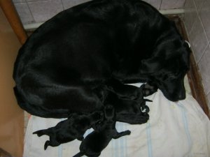 IMG_0798.JPG