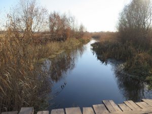IMG_5907.JPG