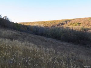 IMG_5923.JPG