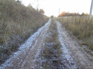 IMG_5939.JPG