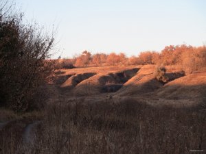 IMG_5943.JPG