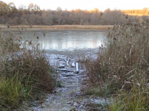 IMG_5953.JPG