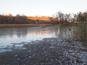 IMG_5954.JPG