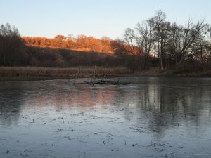IMG_5957.JPG
