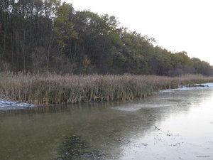 IMG_5964.JPG