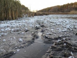 IMG_5973.JPG