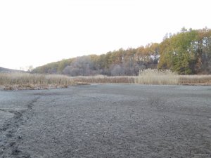 IMG_5987.JPG