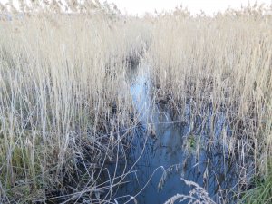IMG_6012.JPG
