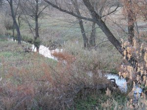 IMG_6016.JPG