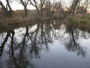 IMG_6023.JPG