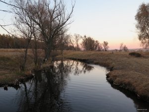 IMG_6025.JPG