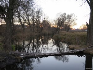 IMG_6028.JPG