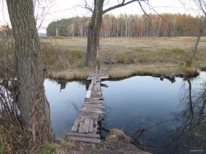 IMG_6029.JPG
