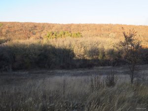 IMG_5926.JPG
