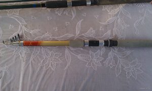 IMAG0526.jpg