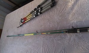IMAG0528.jpg