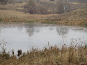 IMG_6091.JPG
