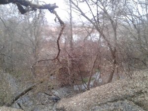 20151110_143434.jpg