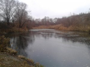 20151110_142837.jpg