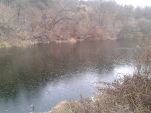 20151110_142644.jpg
