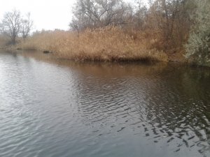 20151110_141144.jpg