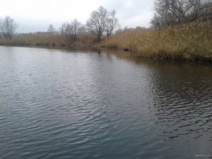 20151110_141135.jpg