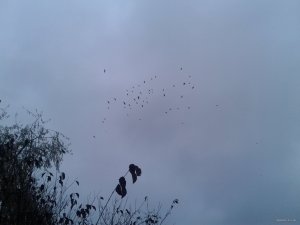 20151110_135546.jpg