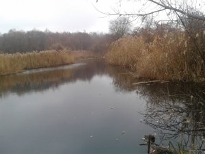 20151110_135536.jpg