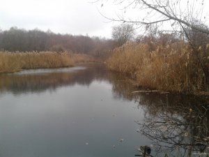 20151110_135529.jpg
