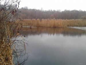 20151110_135517.jpg