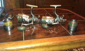 IMAG0534.jpg