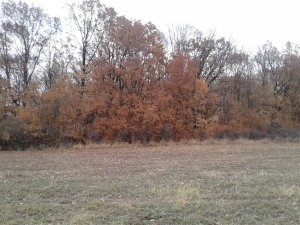 20151113_142822.jpg