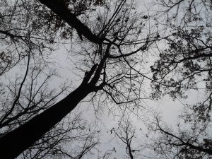 20151113_140255.jpg