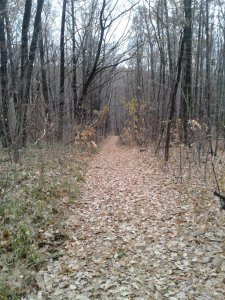 20151113_140148.jpg
