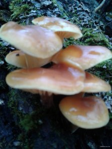 20151113_135328.jpg