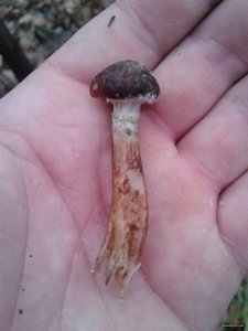 20151113_131113.jpg