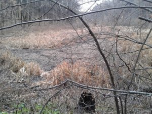 20151113_122742.jpg