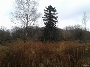 20151113_121813.jpg