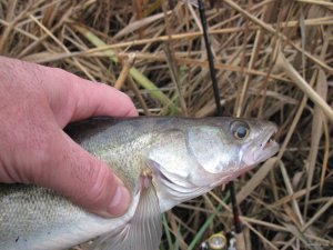 IMG_5822.JPG