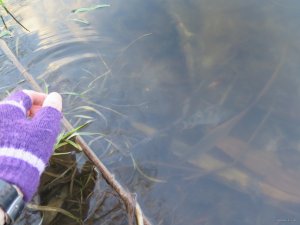 IMG_6291.JPG