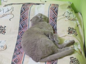 IMG_6299.JPG