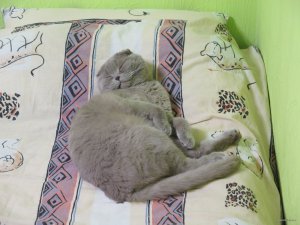 IMG_6300.JPG