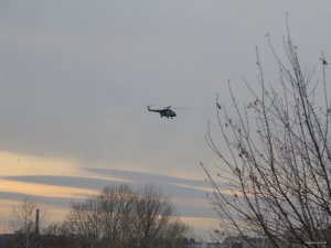 IMG_6205.JPG