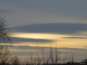 IMG_6217.JPG