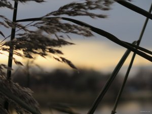 IMG_6227.JPG