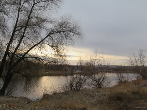 IMG_6233.JPG