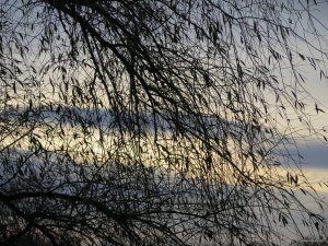 IMG_6235.JPG