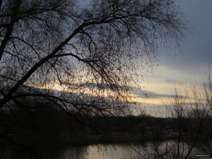 IMG_6236.JPG