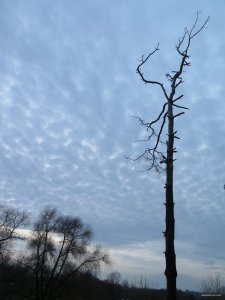 IMG_6260.JPG